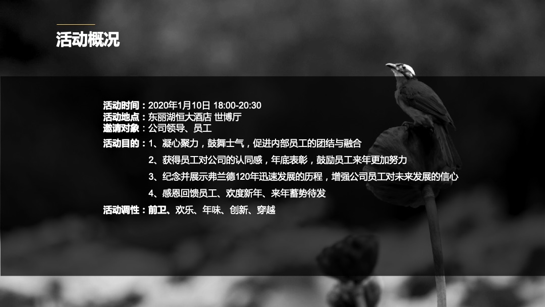 弗兰德跨越百年年会策划方案