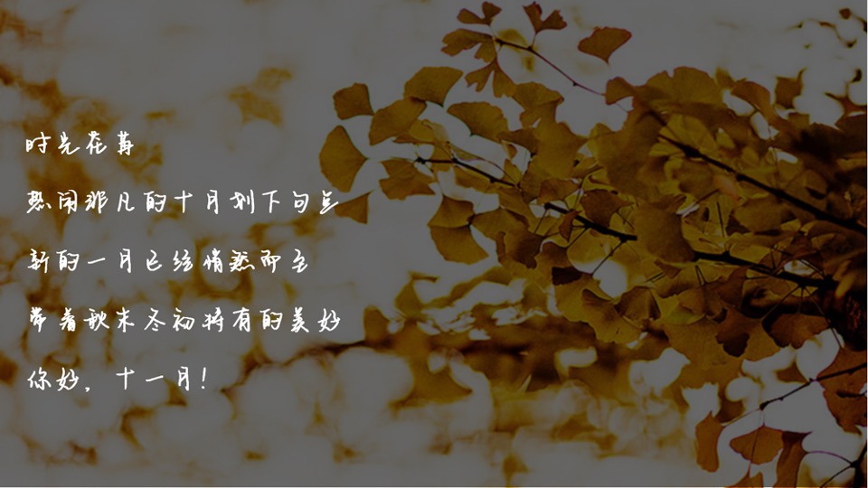 地产项目秋冬主题月（美好秋冬 如你所见主题）活动策划方案