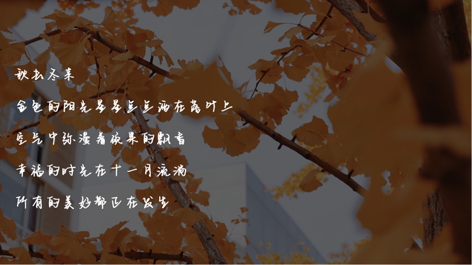 地产项目秋冬主题月（美好秋冬 如你所见主题）活动策划方案