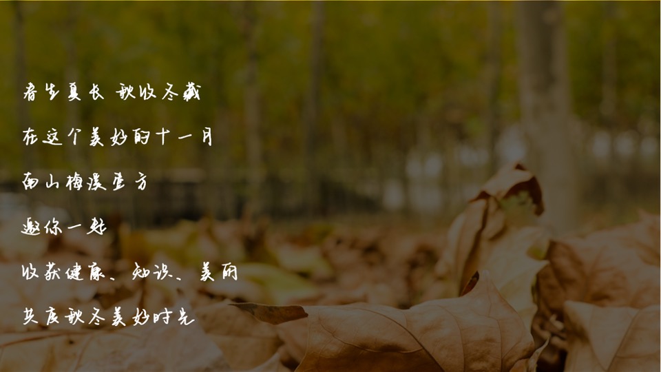 地产项目秋冬主题月（美好秋冬 如你所见主题）活动策划方案