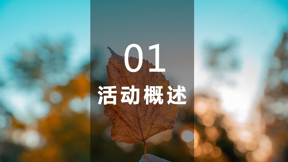 地产项目秋冬主题月（美好秋冬 如你所见主题）活动策划方案