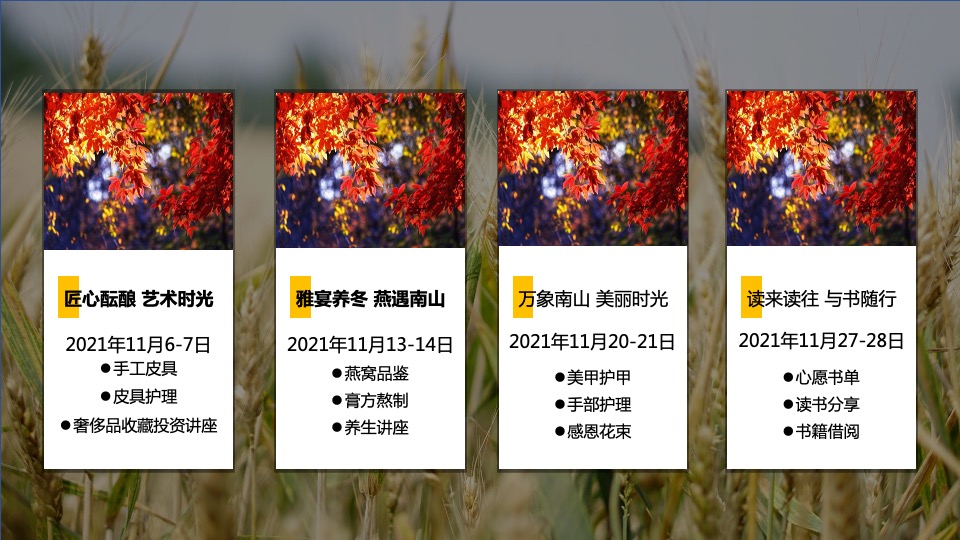 地产项目秋冬主题月（美好秋冬 如你所见主题）活动策划方案