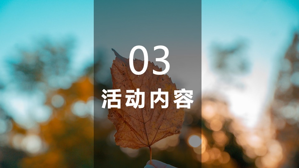 地产项目秋冬主题月（美好秋冬 如你所见主题）活动策划方案