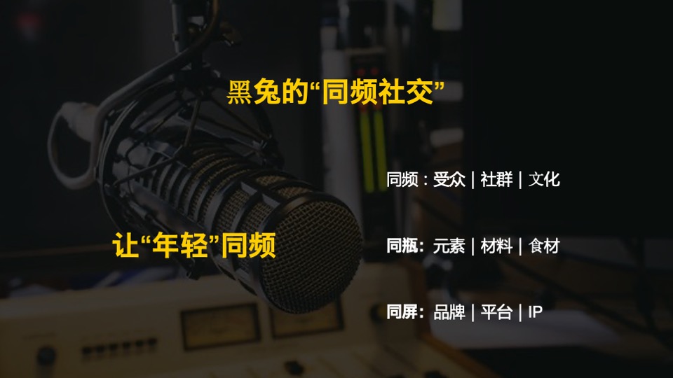 酒水品牌升级及推广方案