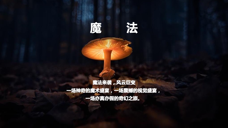 商业购物中心圣诞节暖场（魔法圣诞夜主题）活动策划方案