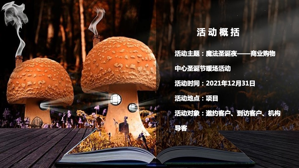 商业购物中心圣诞节暖场（魔法圣诞夜主题）活动策划方案