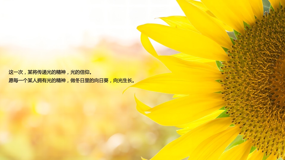 地产公司年会盛典（向光生长主题）活动策划方案