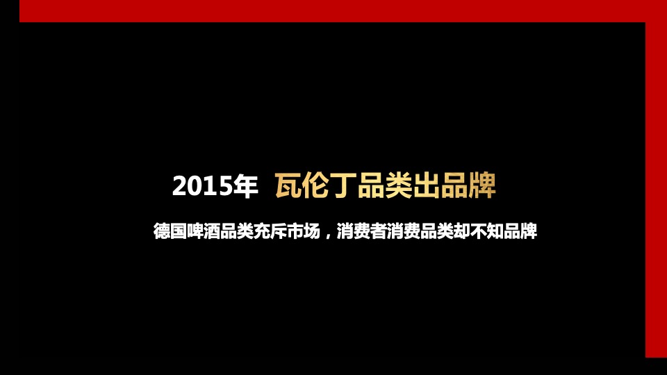 知名德国啤酒品牌战略规划方案