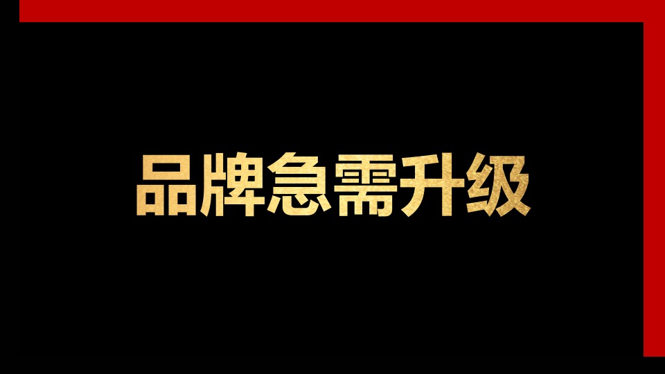 知名德国啤酒品牌战略规划方案