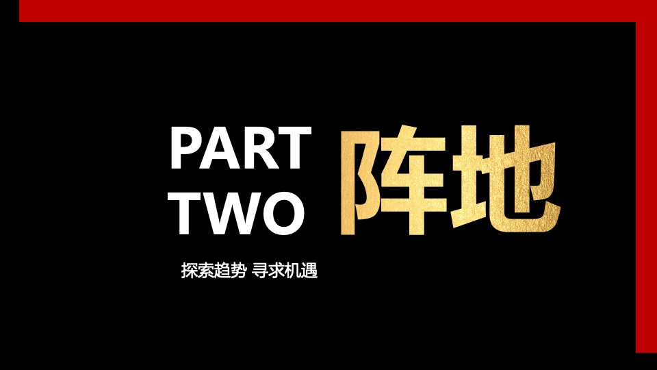 知名德国啤酒品牌战略规划方案