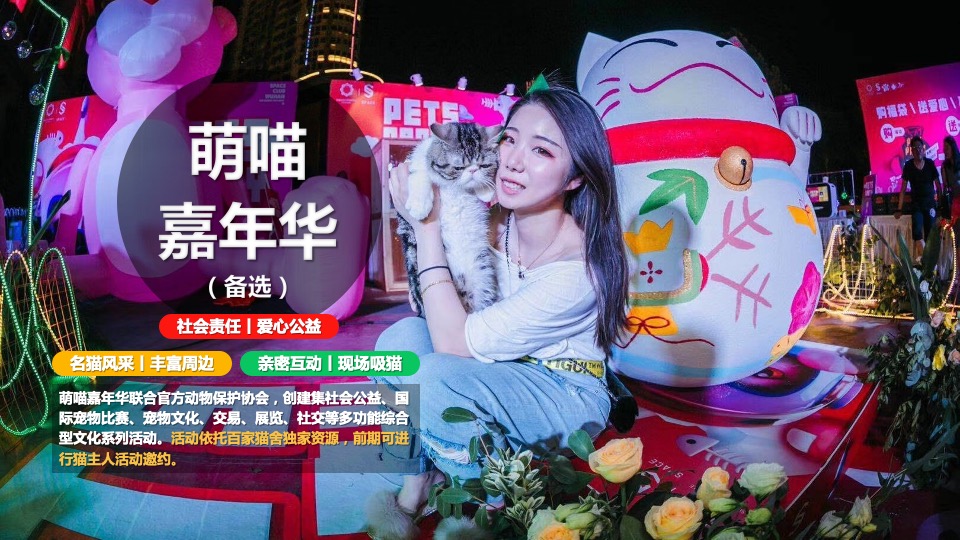 商业街圣诞嘉年华（漫享圣诞·壹想天开主题）活动策划方案