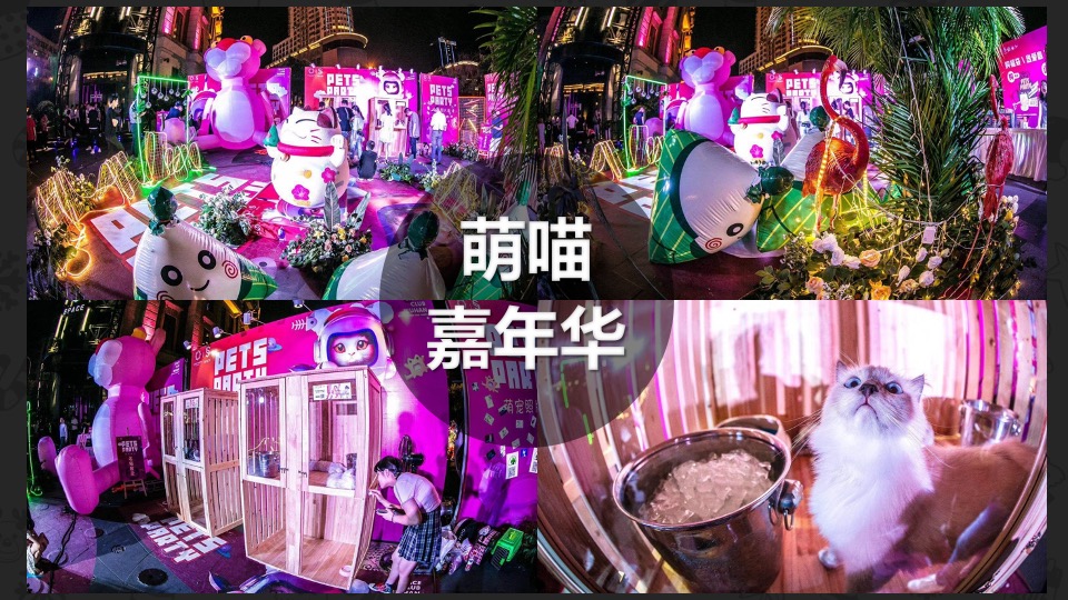 商业街圣诞嘉年华（漫享圣诞·壹想天开主题）活动策划方案