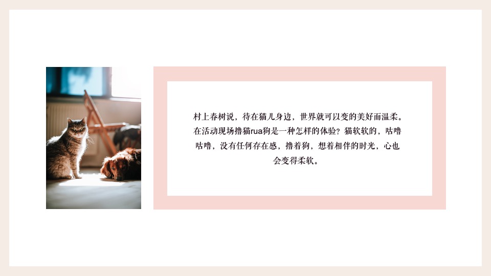 购物中心月度（萌宠秀场主题）活动推荐