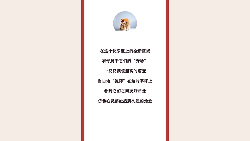 购物中心月度（萌宠秀场主题）活动推荐