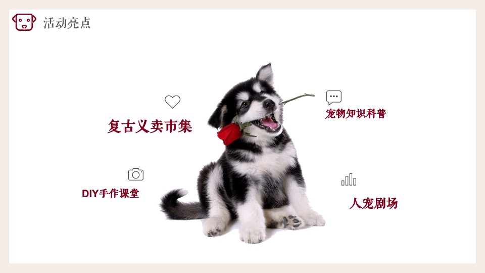 购物中心月度（萌宠秀场主题）活动推荐