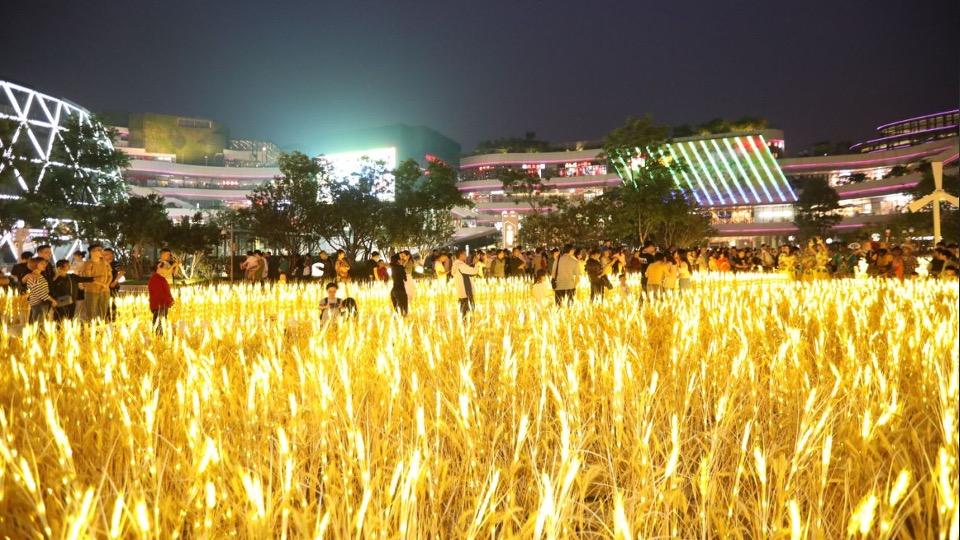 地产项目圣诞节系列暖场（乐享圣诞 狂欢不停主题）活动策划方案