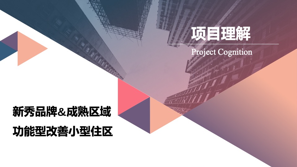 南京星河天赋G101营销拓盘报告