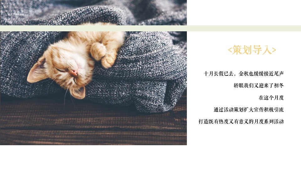 地产项目冬季12月蓄客（情暖初冬季主题）活动策划方案