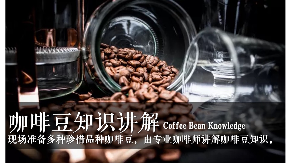 地产项目冬季12月蓄客（情暖初冬季主题）活动策划方案