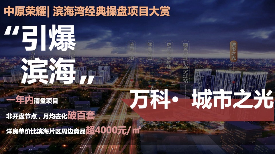 东莞世茂佳兆业璀璨时代营销拓盘报告（汇报版)