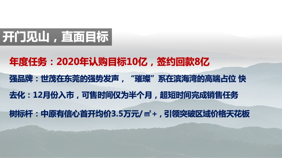 东莞世茂佳兆业璀璨时代营销拓盘报告（汇报版)