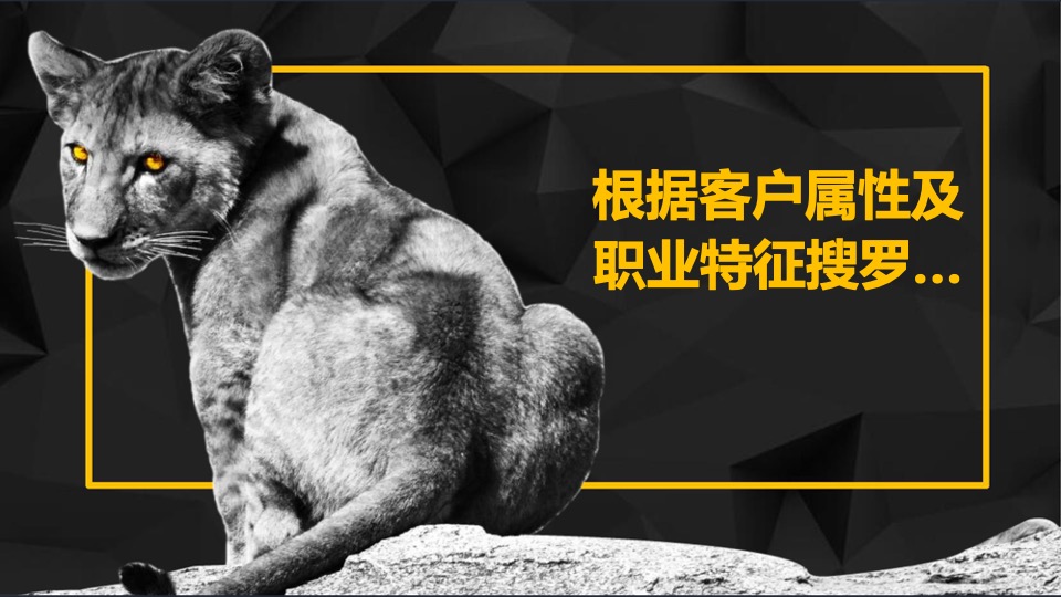 福晟东升地块营销拓盘报告