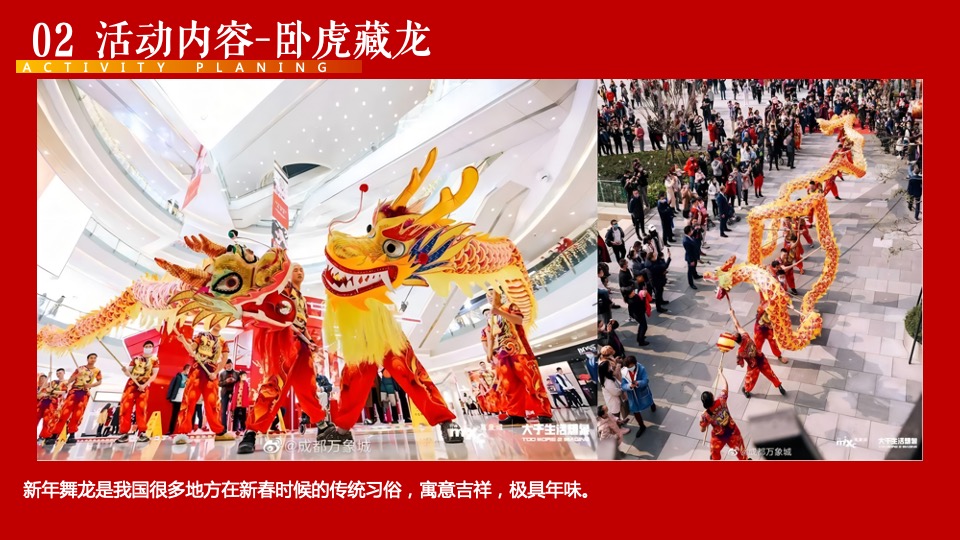 地产项目虎年新春主题包装及嘉年华（虎跃福门·寻富生财主题）活动策划方案