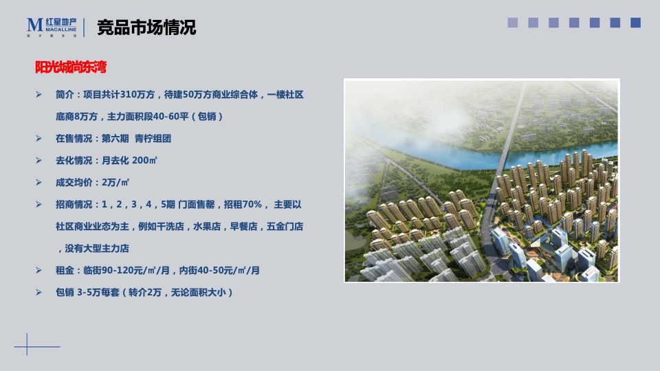 远洋长沙红星天铂商铺推售营销方案