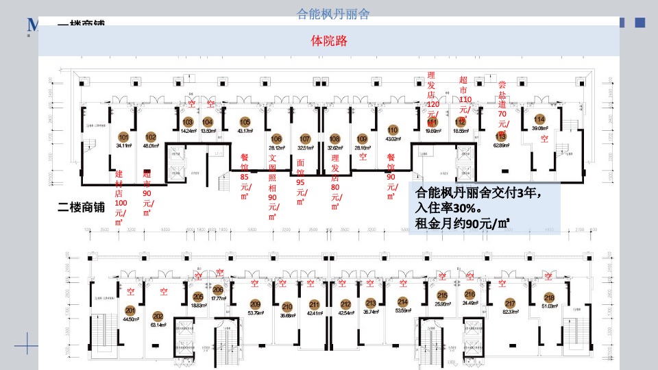 远洋长沙红星天铂商铺推售营销方案