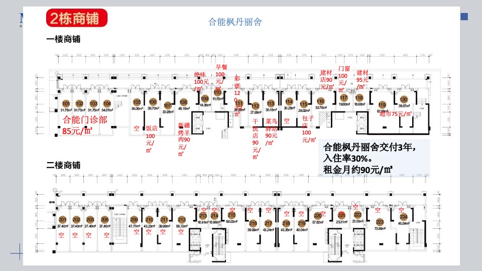 远洋长沙红星天铂商铺推售营销方案