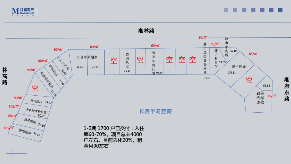远洋长沙红星天铂商铺推售营销方案