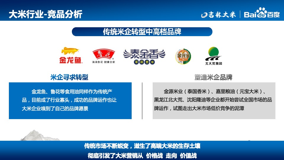 吉林大米天猫商城宣传推广项目方案