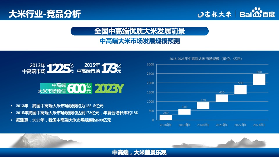 吉林大米天猫商城宣传推广项目方案