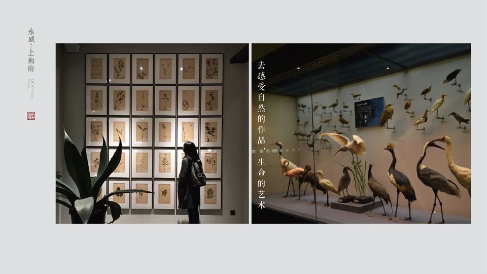 永威上和府推广策略提报