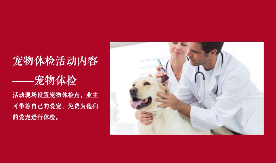 地产项目全年业主答谢活动规划方案