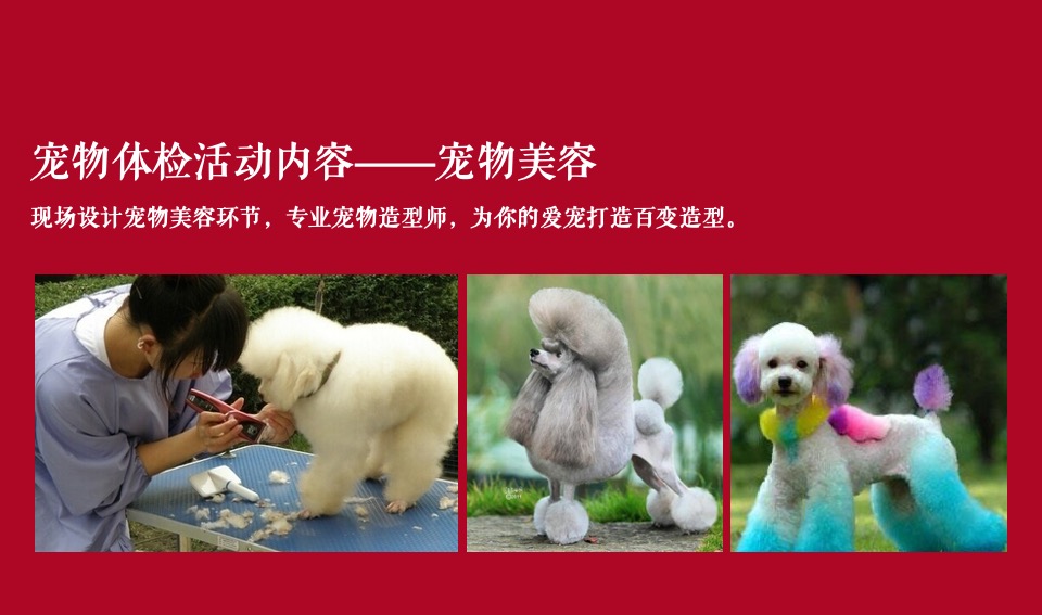 地产项目全年业主答谢活动规划方案