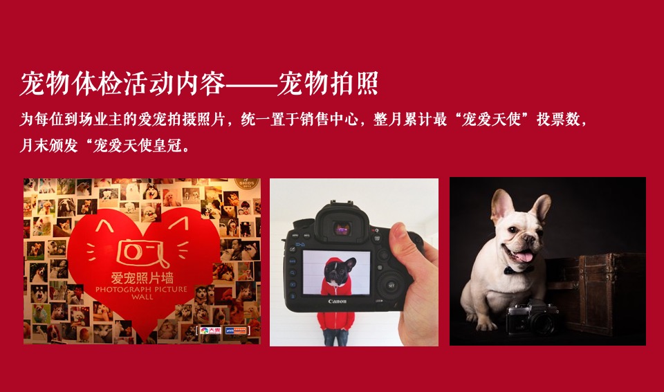 地产项目全年业主答谢活动规划方案