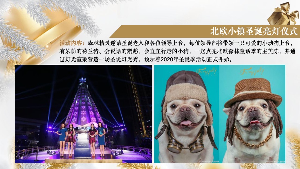 商业广场圣诞系列（潮萌圣地 冬日狂欢主题）活动策划方案
