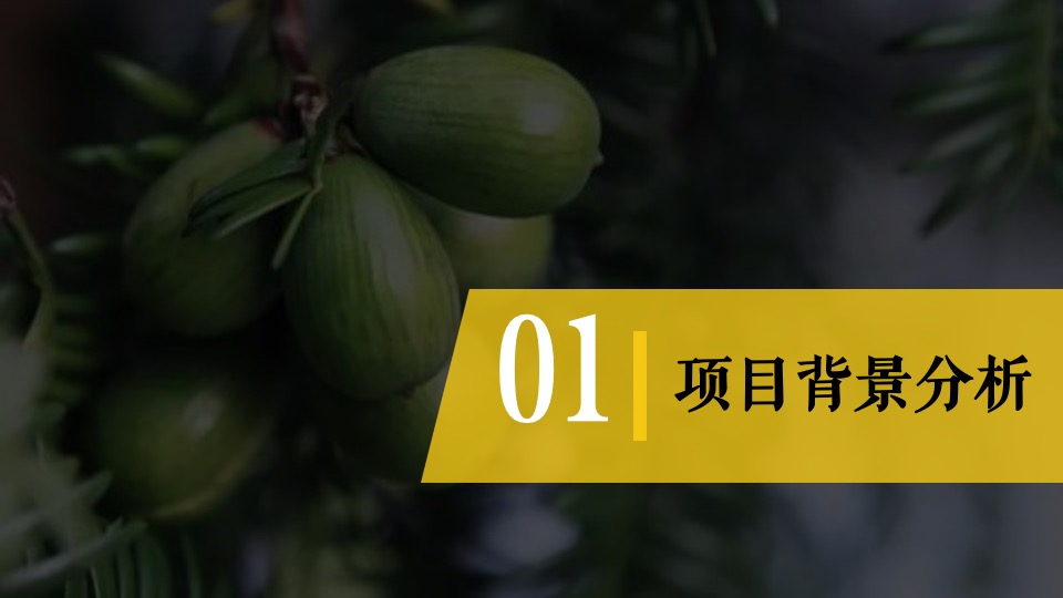 城市香榧节（香满嵊州 榧同凡响主题）活动策划方案