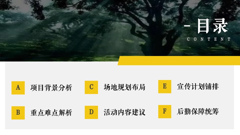 城市香榧节（香满嵊州 榧同凡响主题）活动策划方案