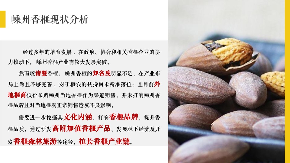 城市香榧节（香满嵊州 榧同凡响主题）活动策划方案