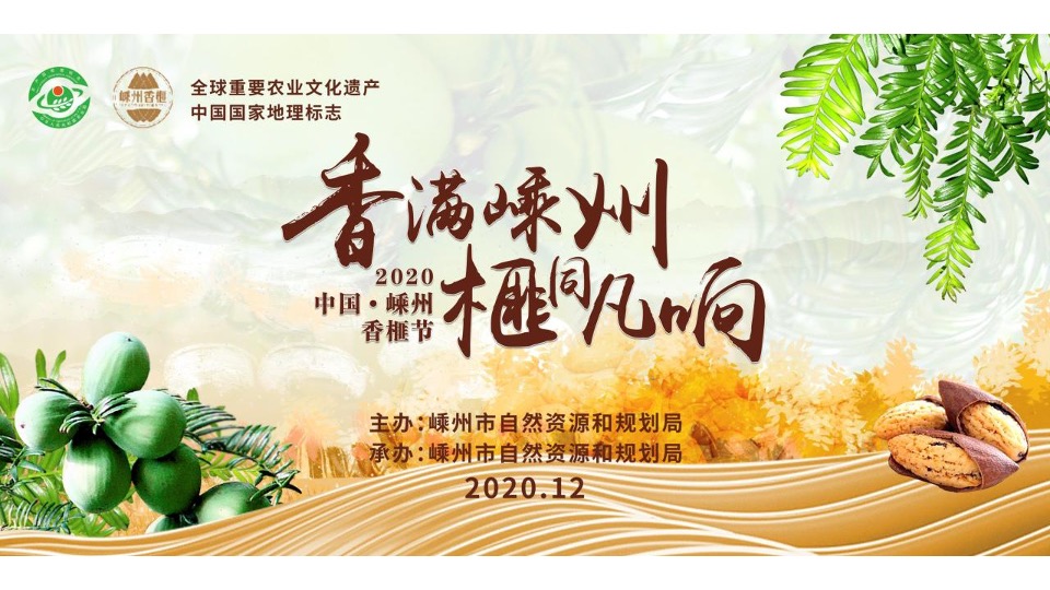 城市香榧节（香满嵊州 榧同凡响主题）活动策划方案