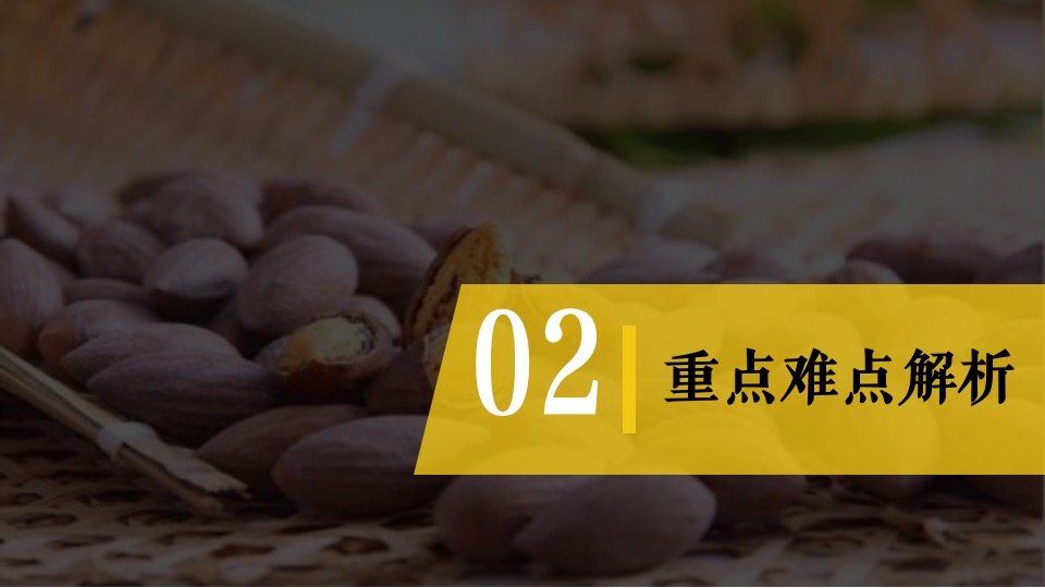 城市香榧节（香满嵊州 榧同凡响主题）活动策划方案