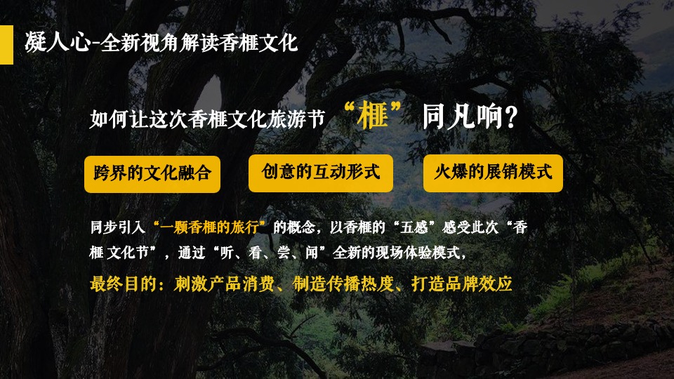 城市香榧节（香满嵊州 榧同凡响主题）活动策划方案