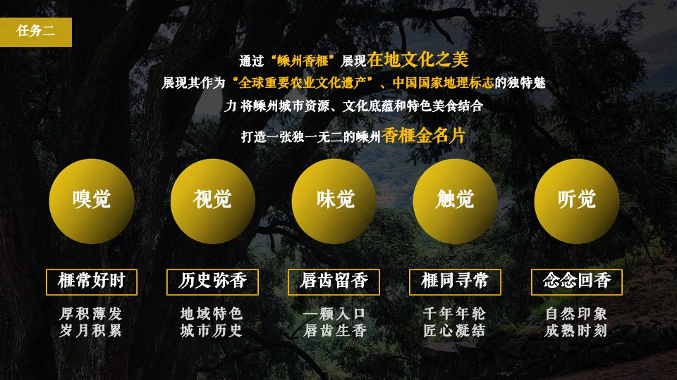 城市香榧节（香满嵊州 榧同凡响主题）活动策划方案