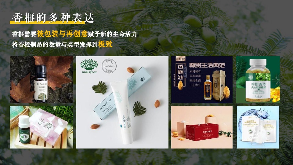 城市香榧节（香满嵊州 榧同凡响主题）活动策划方案