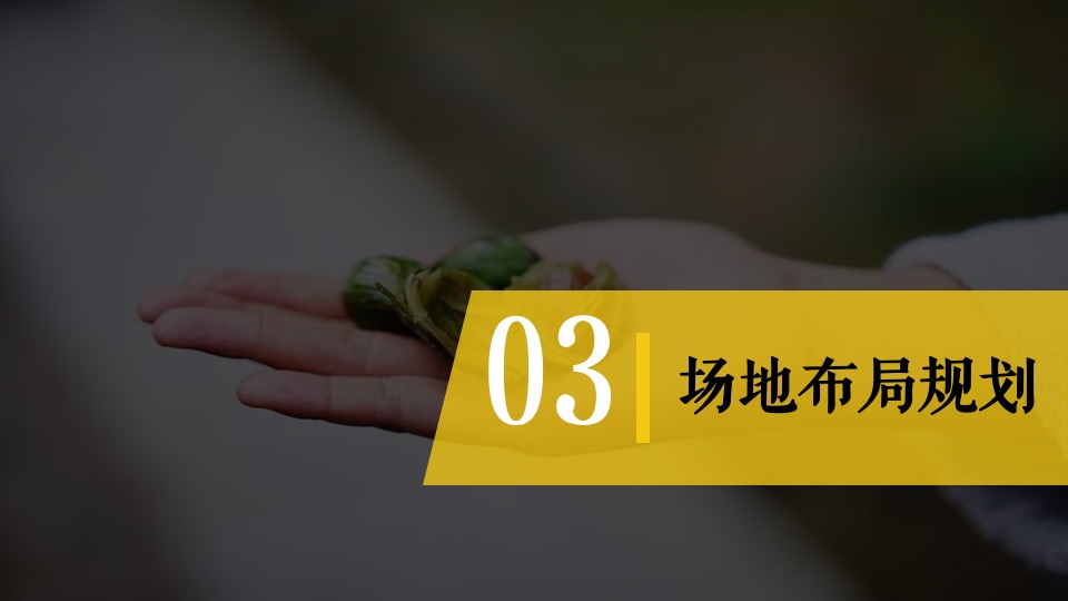 城市香榧节（香满嵊州 榧同凡响主题）活动策划方案