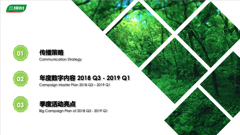 三棵树品牌公益活动执行方案