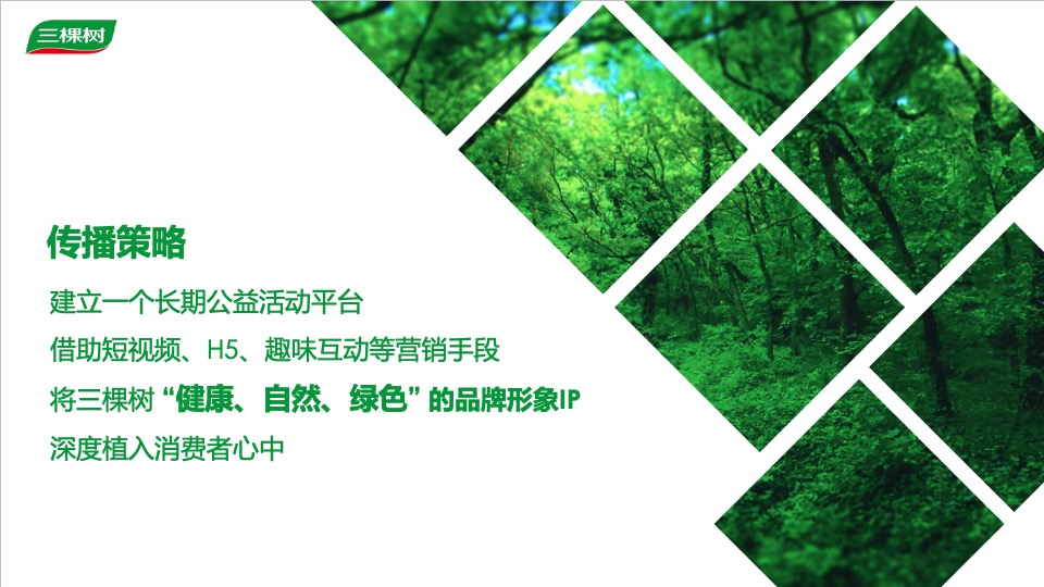 三棵树品牌公益活动执行方案