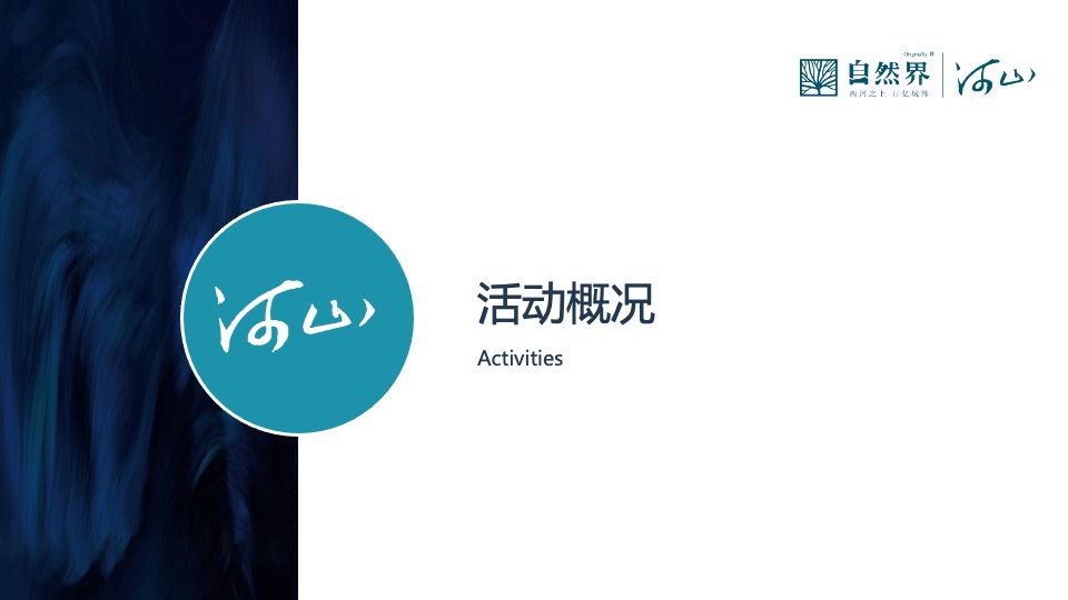 地产项目河山产品发布会（阅尽河山 幻境新生主题）活动策划方案